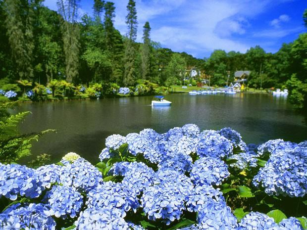 Caminho Das Colinas Gramado Exteriör bild