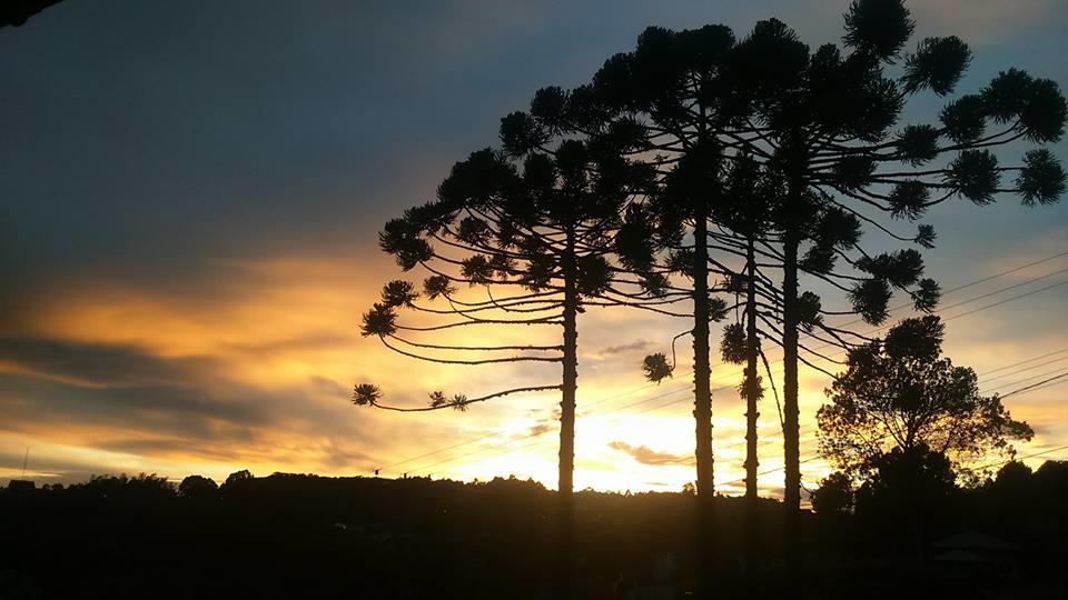 Caminho Das Colinas Gramado Exteriör bild