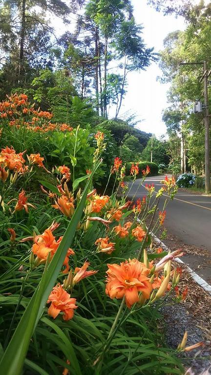 Caminho Das Colinas Gramado Exteriör bild